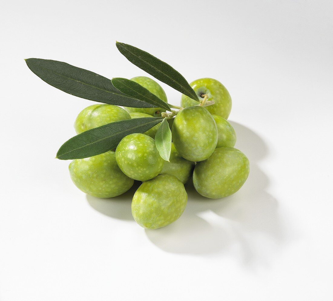 Fresh, green olives