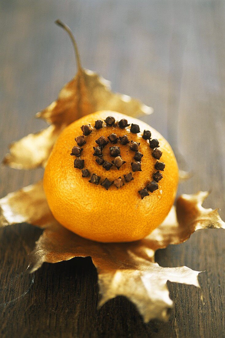 Orange studded with cloves on gilded holly leaf