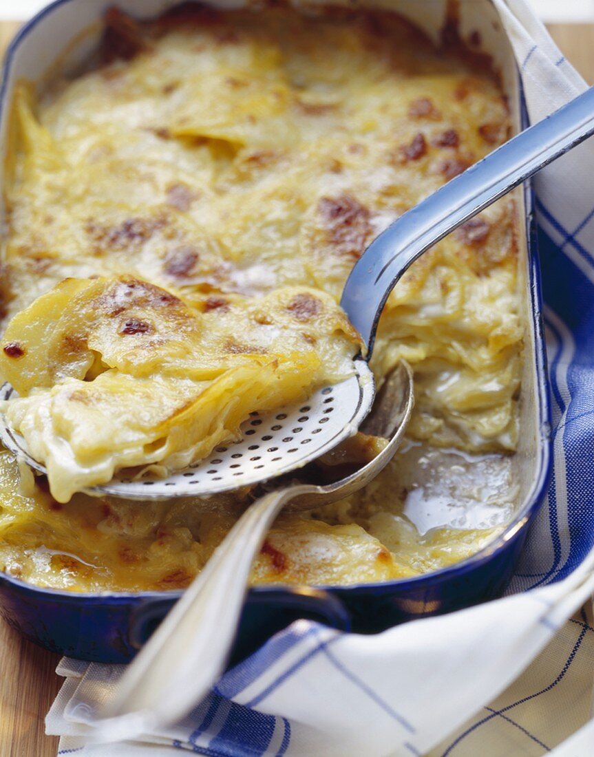 Potato gratin in baking dish and on server