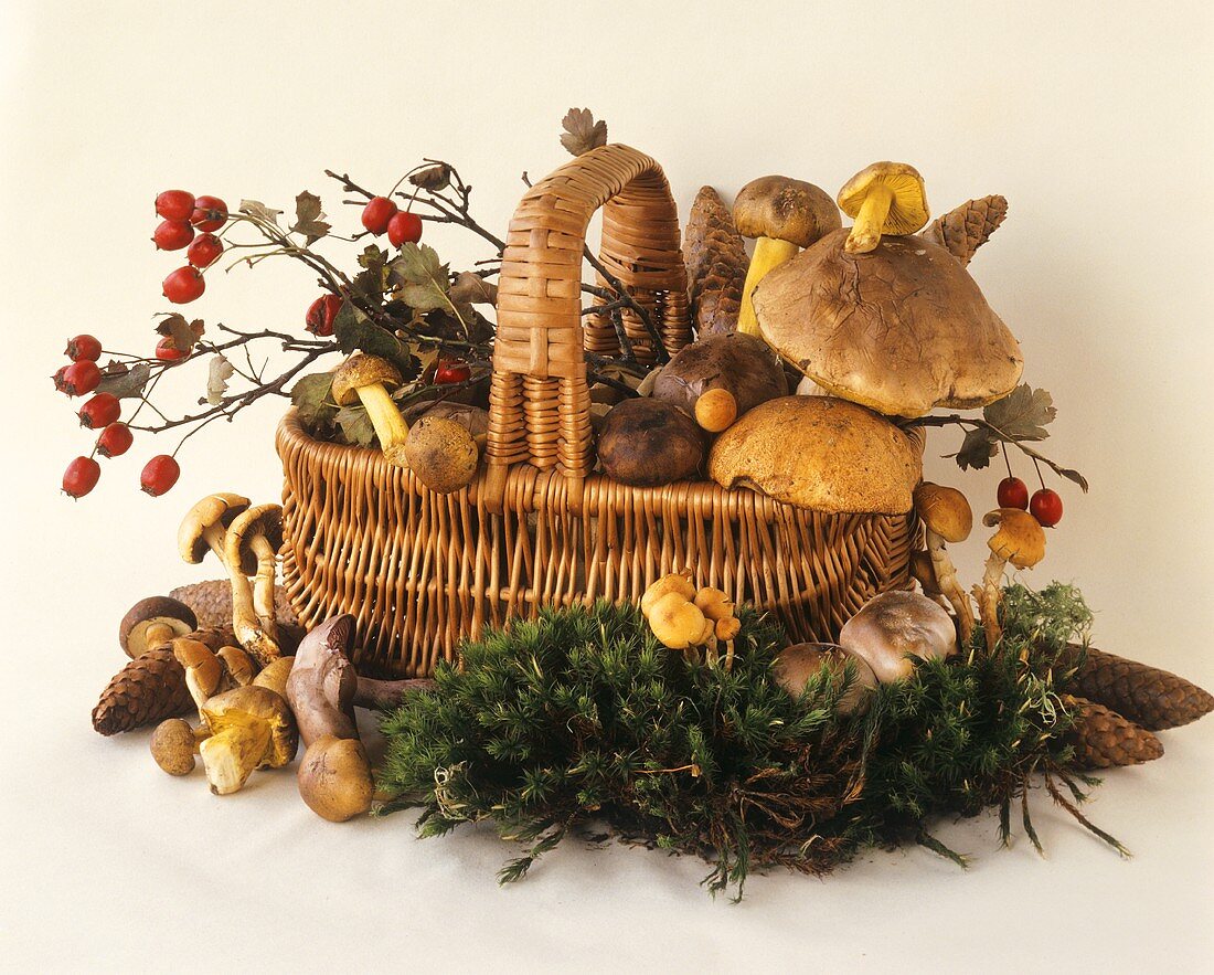 Basket of assorted mushrooms and rose hips