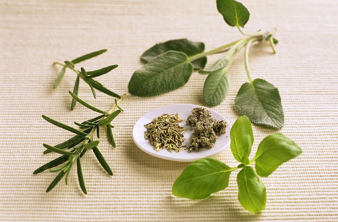 Aromatic herbs; rosemary, sage, basil