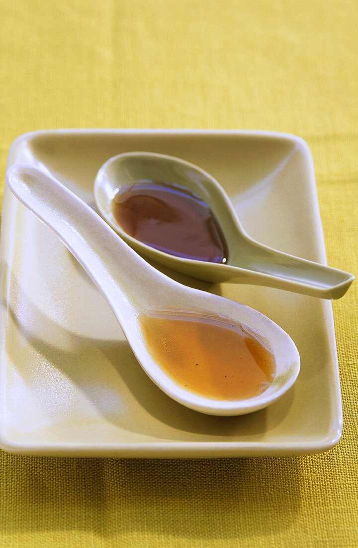 Fish sauce and oyster sauce in Asian soup spoons