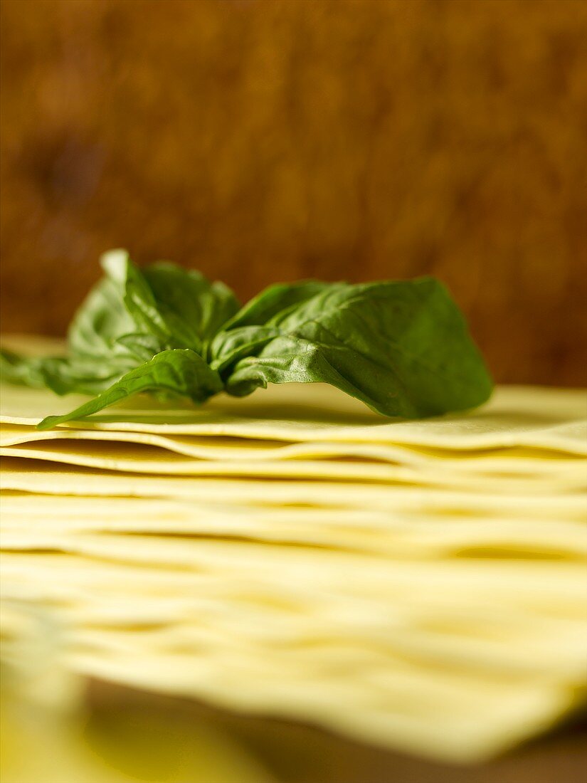 Basil and sheets of lasagne