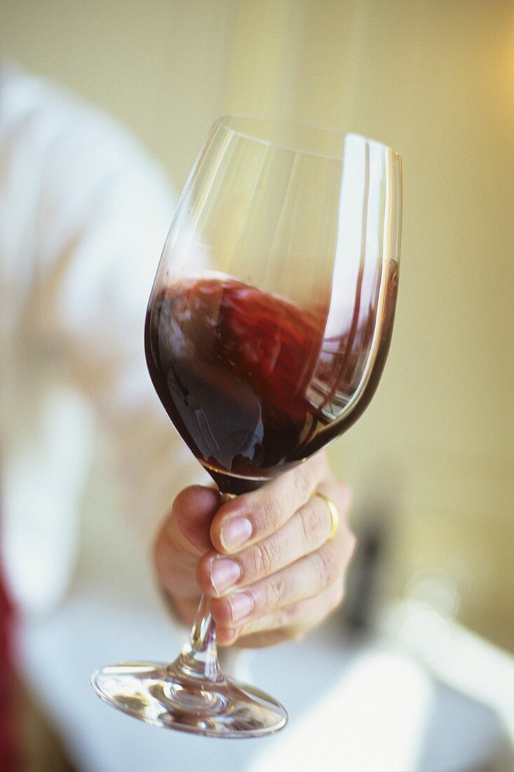 Hand hält ein Glas Bordeaux