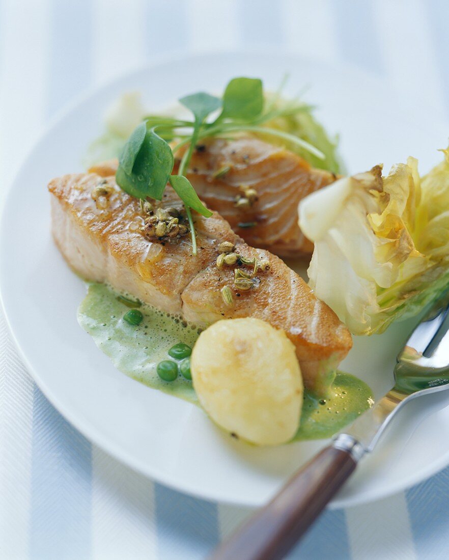 Lachsfilet auf Kopfsalat-Erbsen-Sauce