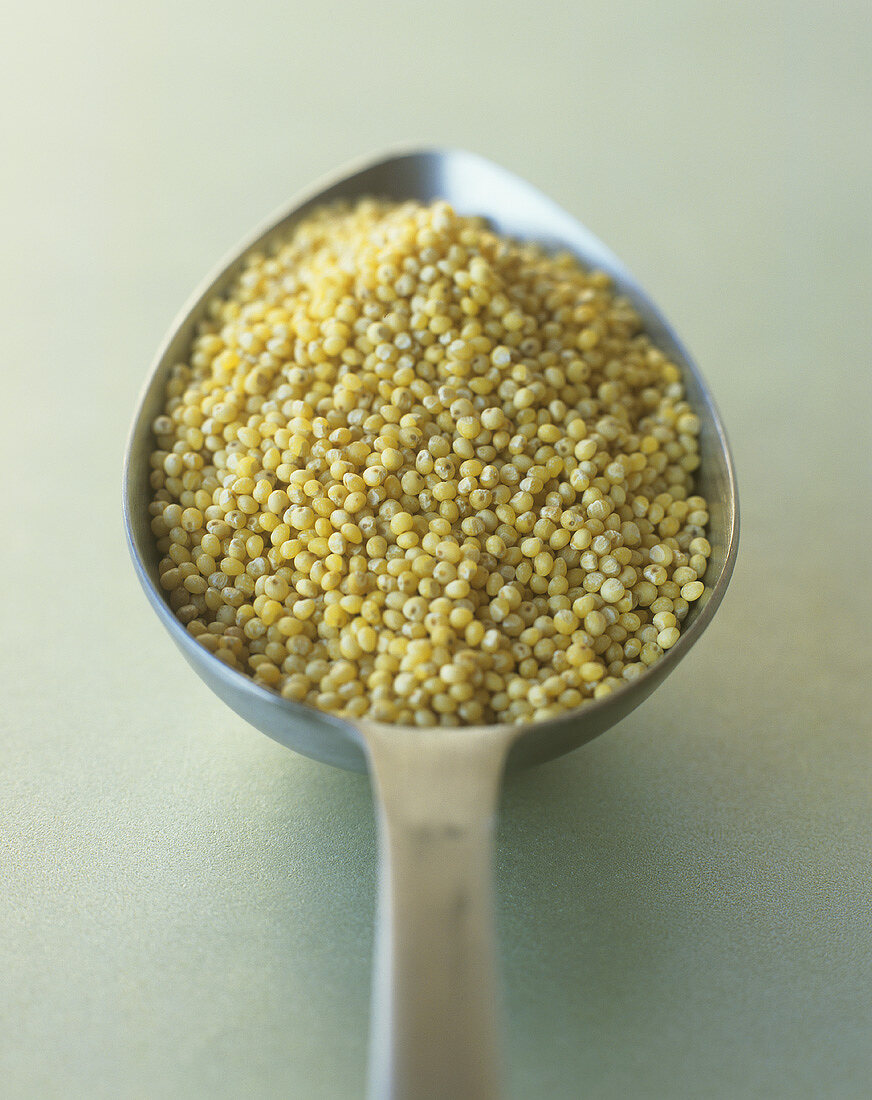 Millet in a spoon