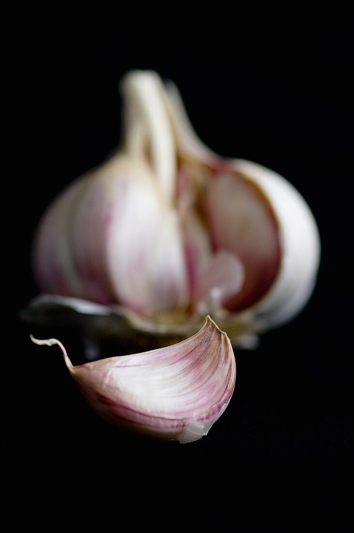 Garlic clove in front of garlic bulb