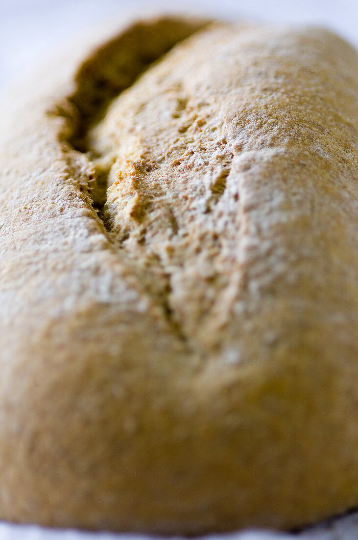 Loaf of bread (close-up)