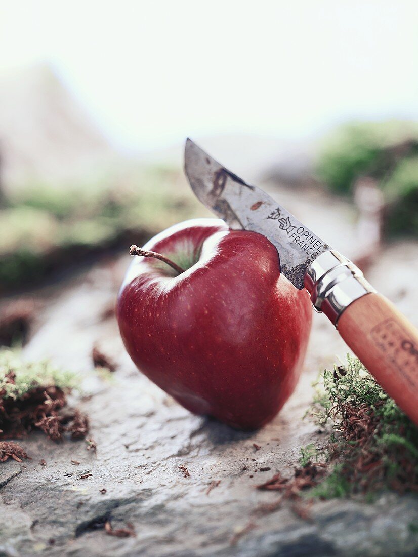 Apple with knife on a stone