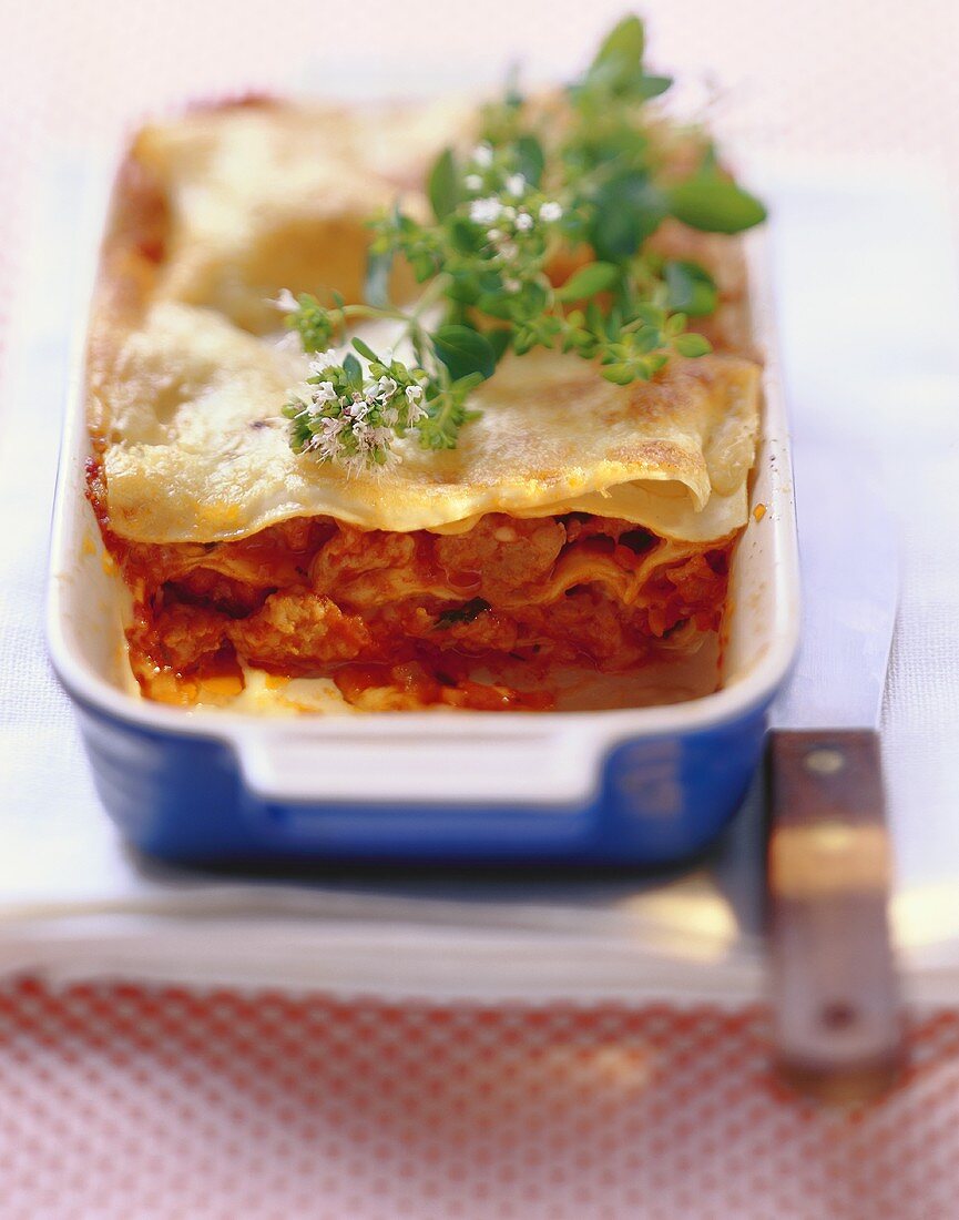 Lasagne with chicken bolognese