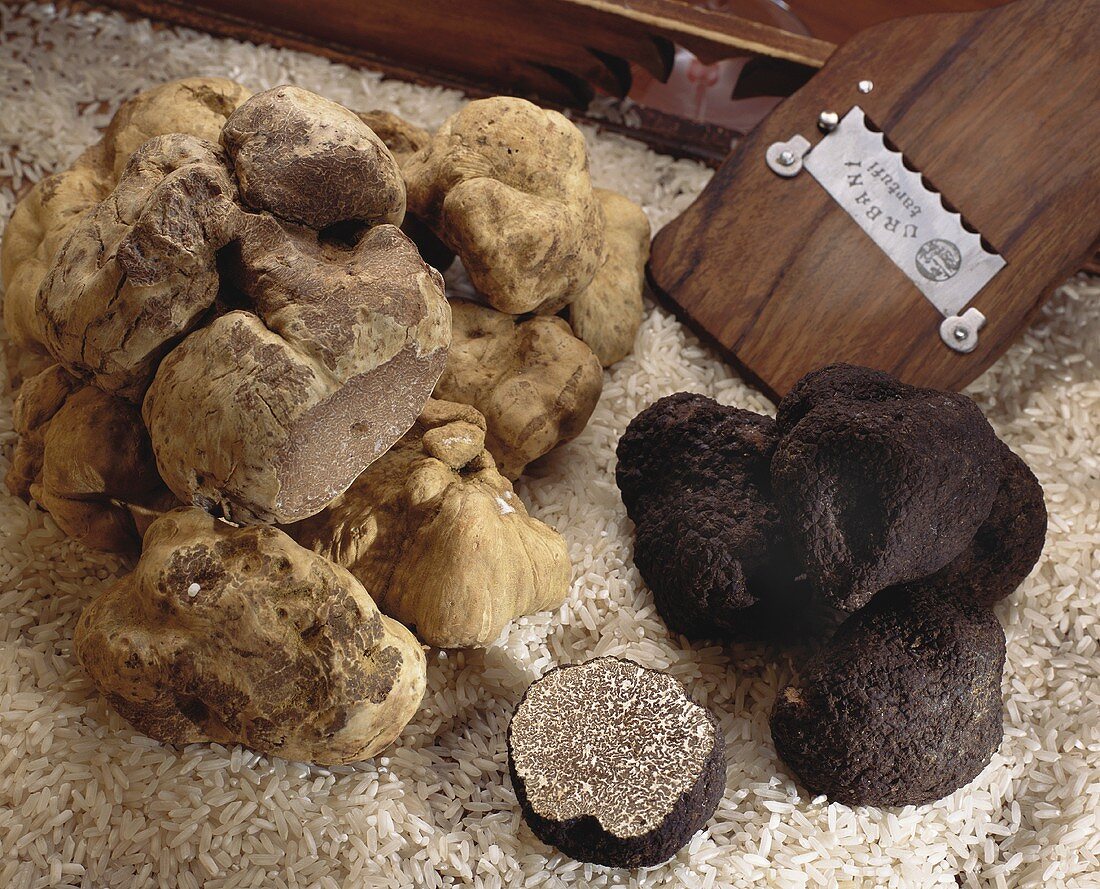 Summer truffle and white truffle on rice