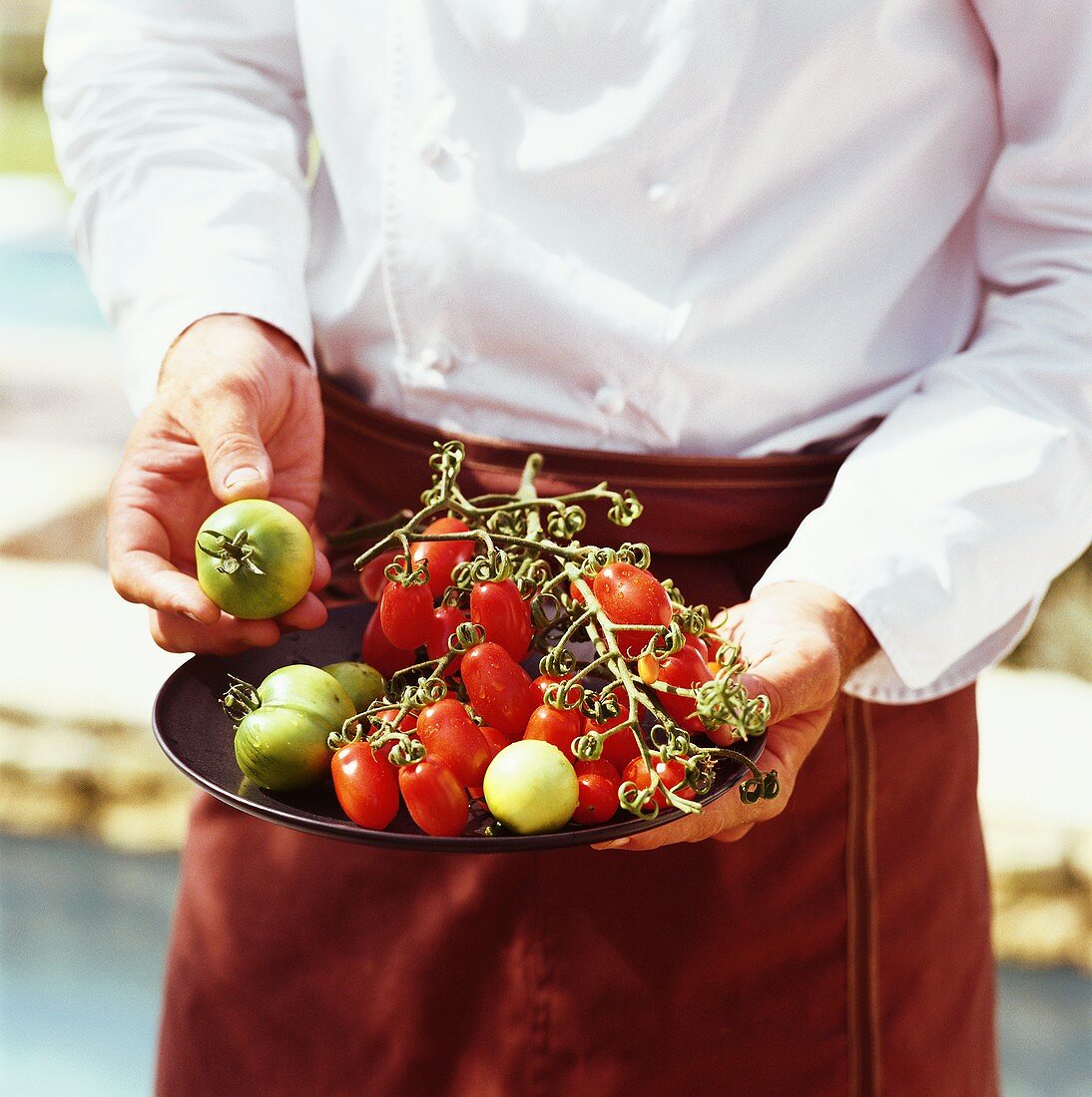 Chef with green and red tomatoes