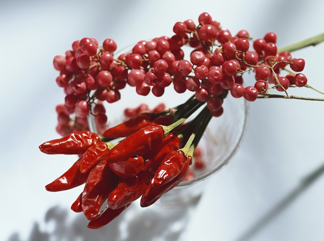 Dried chili peppers and pink pepper
