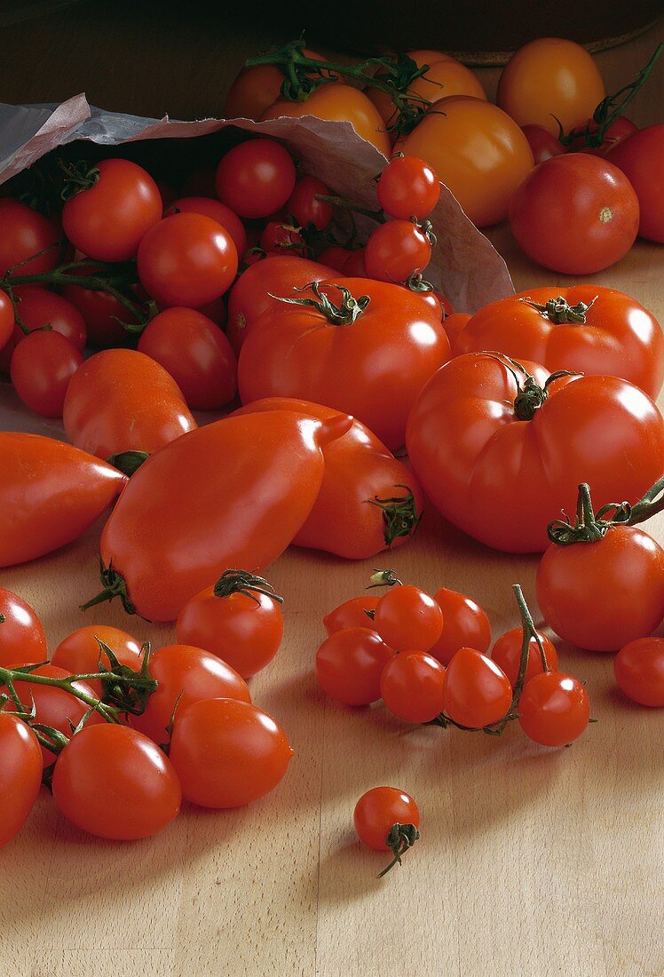 Tomaten verschiedener Sorte