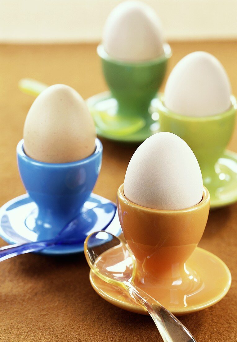 Four boiled eggs in eggcups