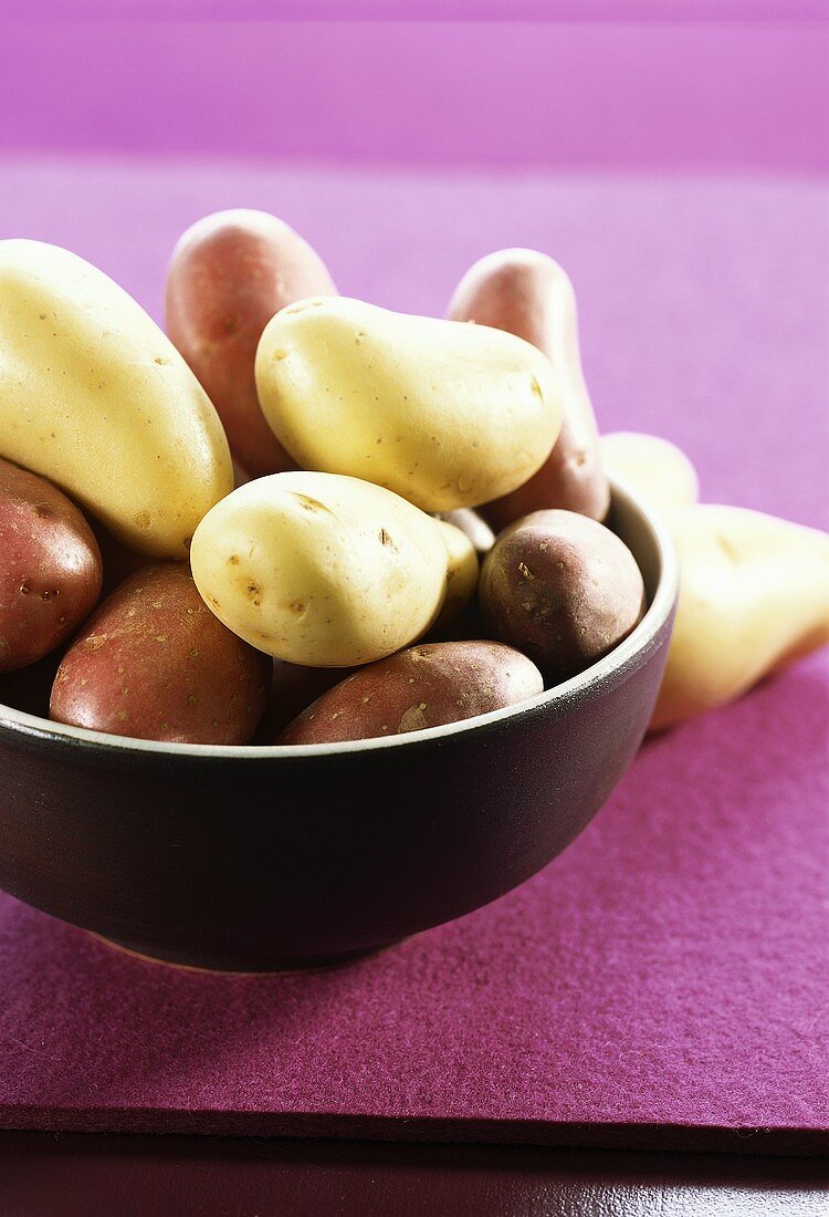 Various types of potato in a bowl