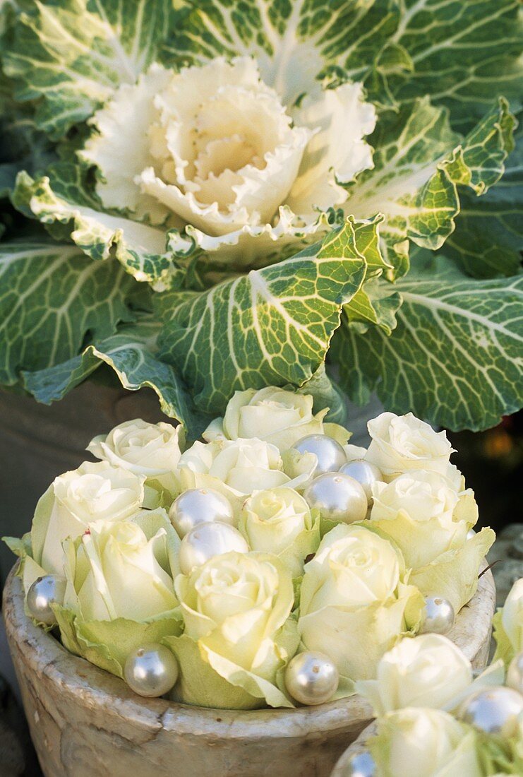 Autumn decoration: white roses & ornamental cabbage (edible)