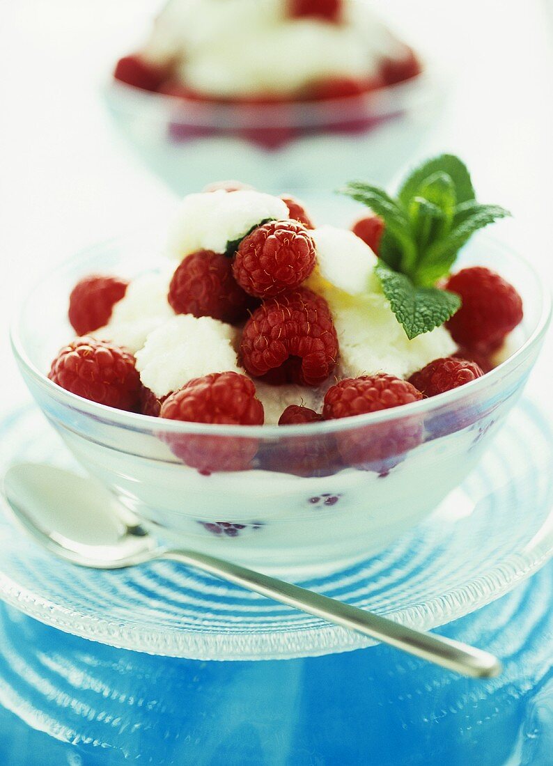 Yoghurt ice cream with raspberries