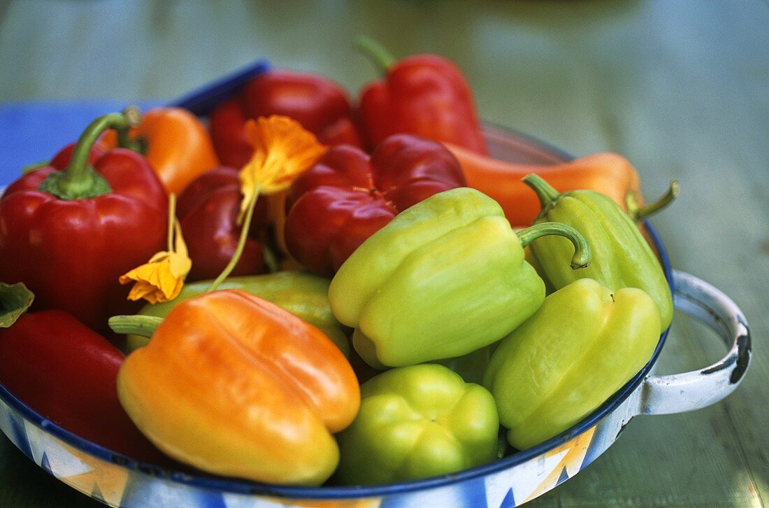 Various types of peppers in a dish