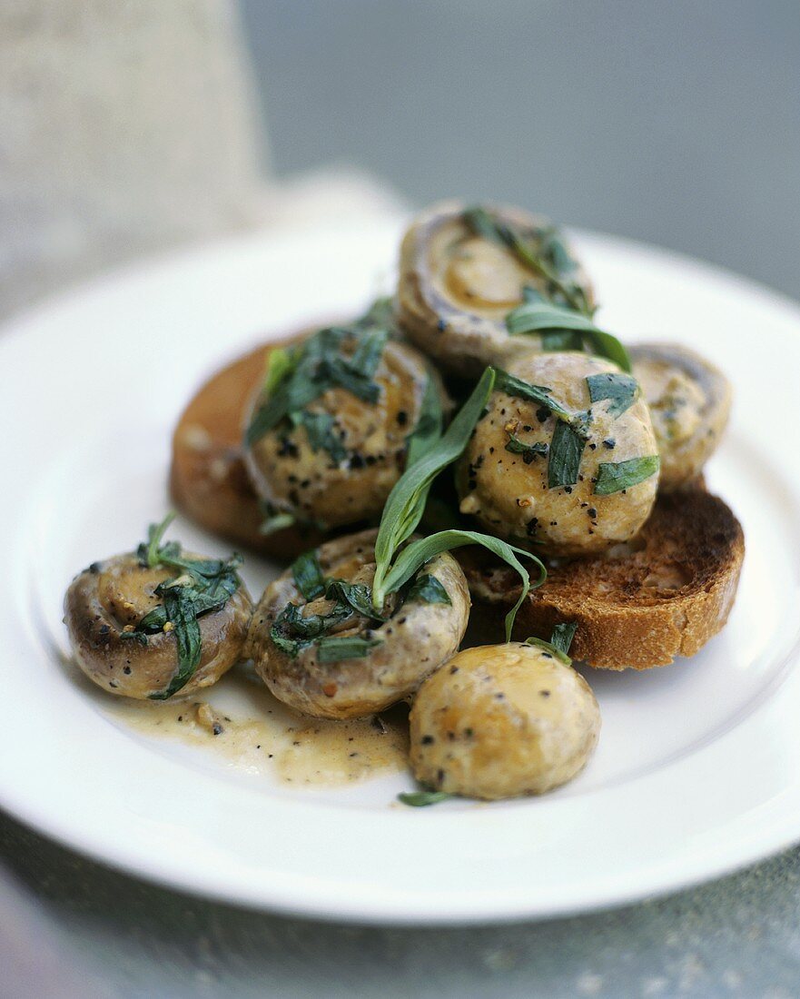 Mushrooms with tarragon on toast