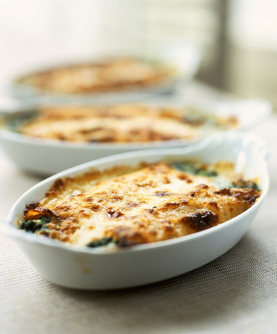 Tuna and spinach bake in baking dishes
