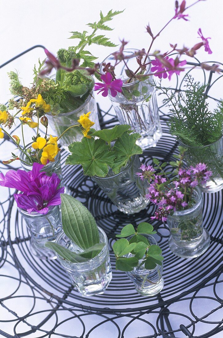 Edible flowers and leaves in glasses of water