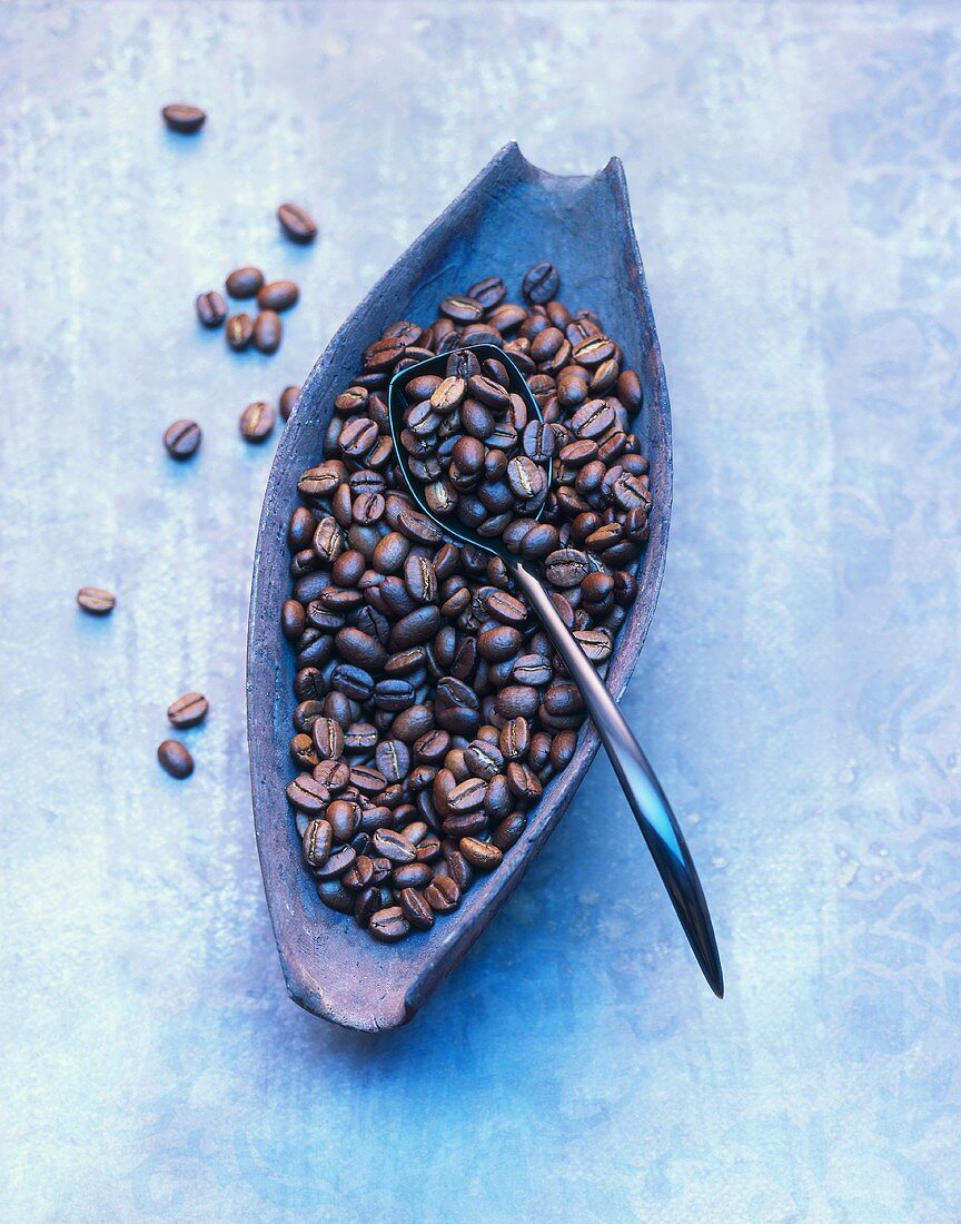Coffee beans in oblong bowl and on spoon
