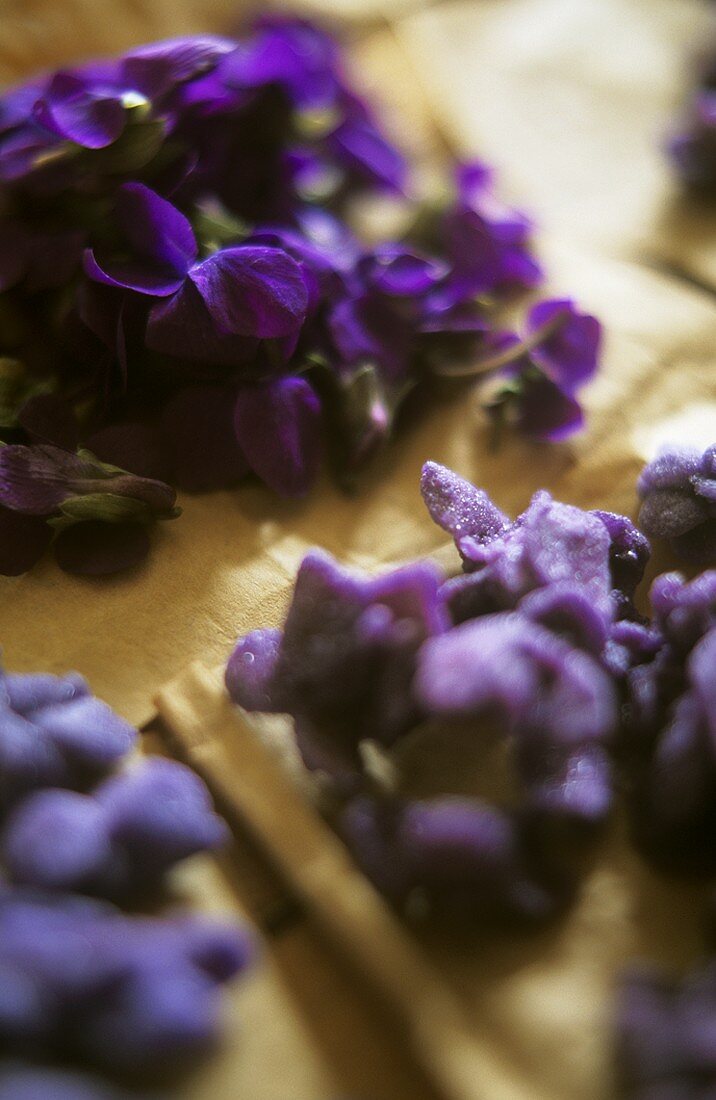 Candied and fresh violets (edible)