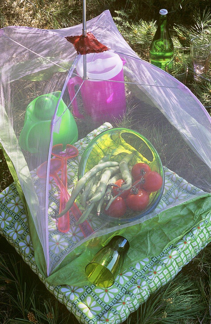 Tomatoes and beans in bowl under food cover