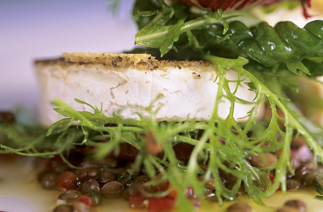 Goat's cheese on lentil salad