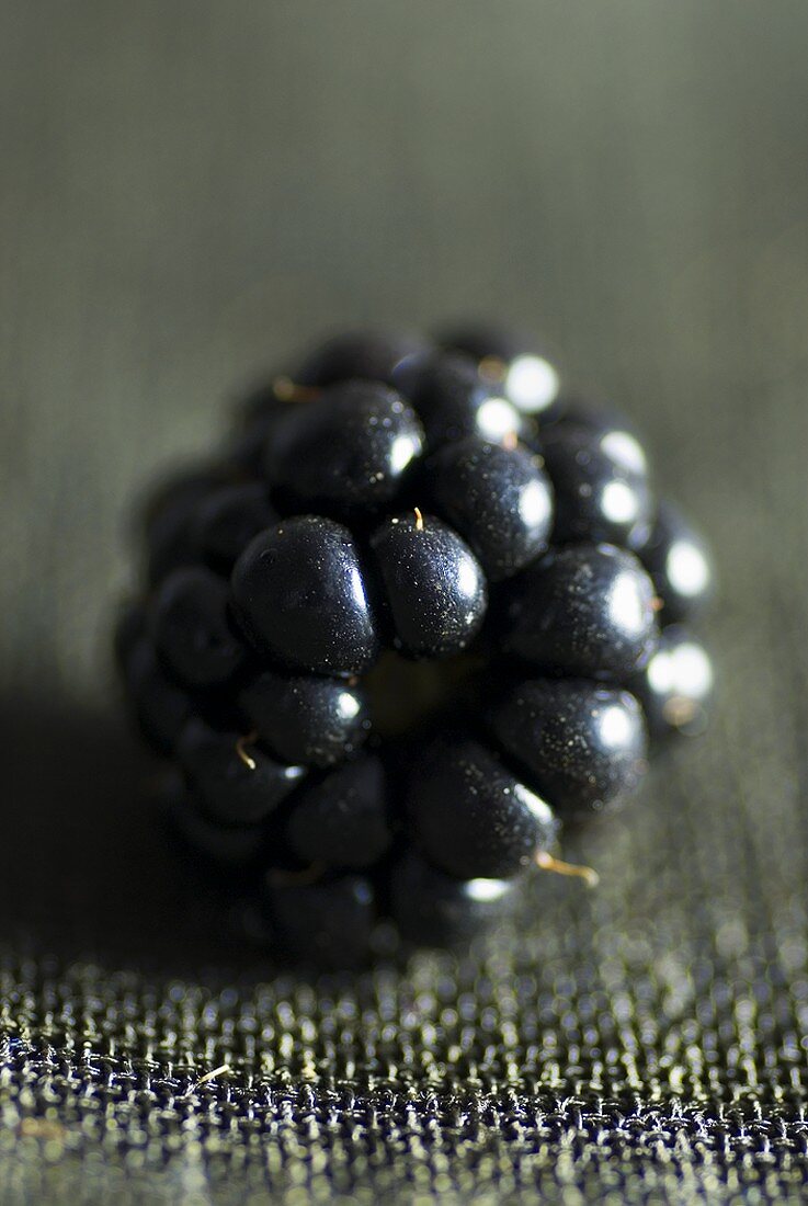Blackberry (close-up)