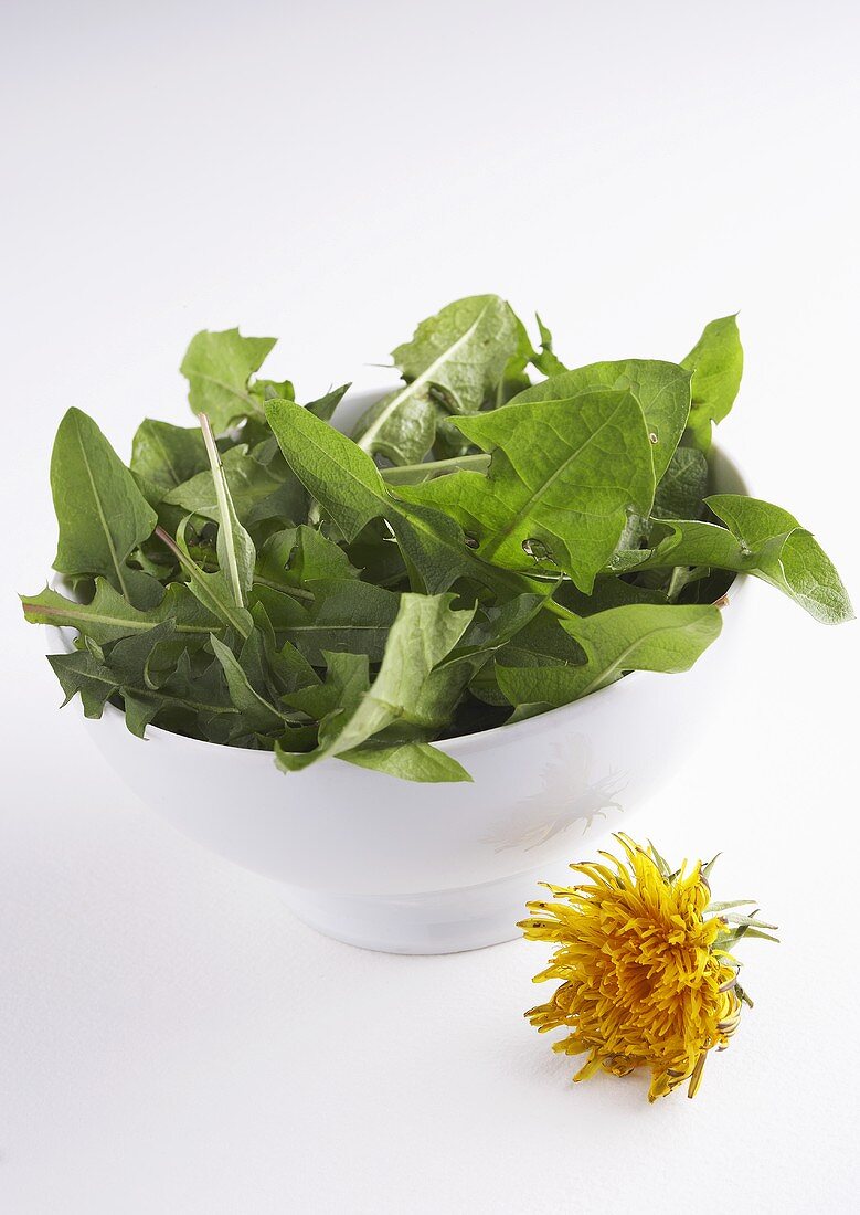 Dandelion leaves in a small bowl and a flower