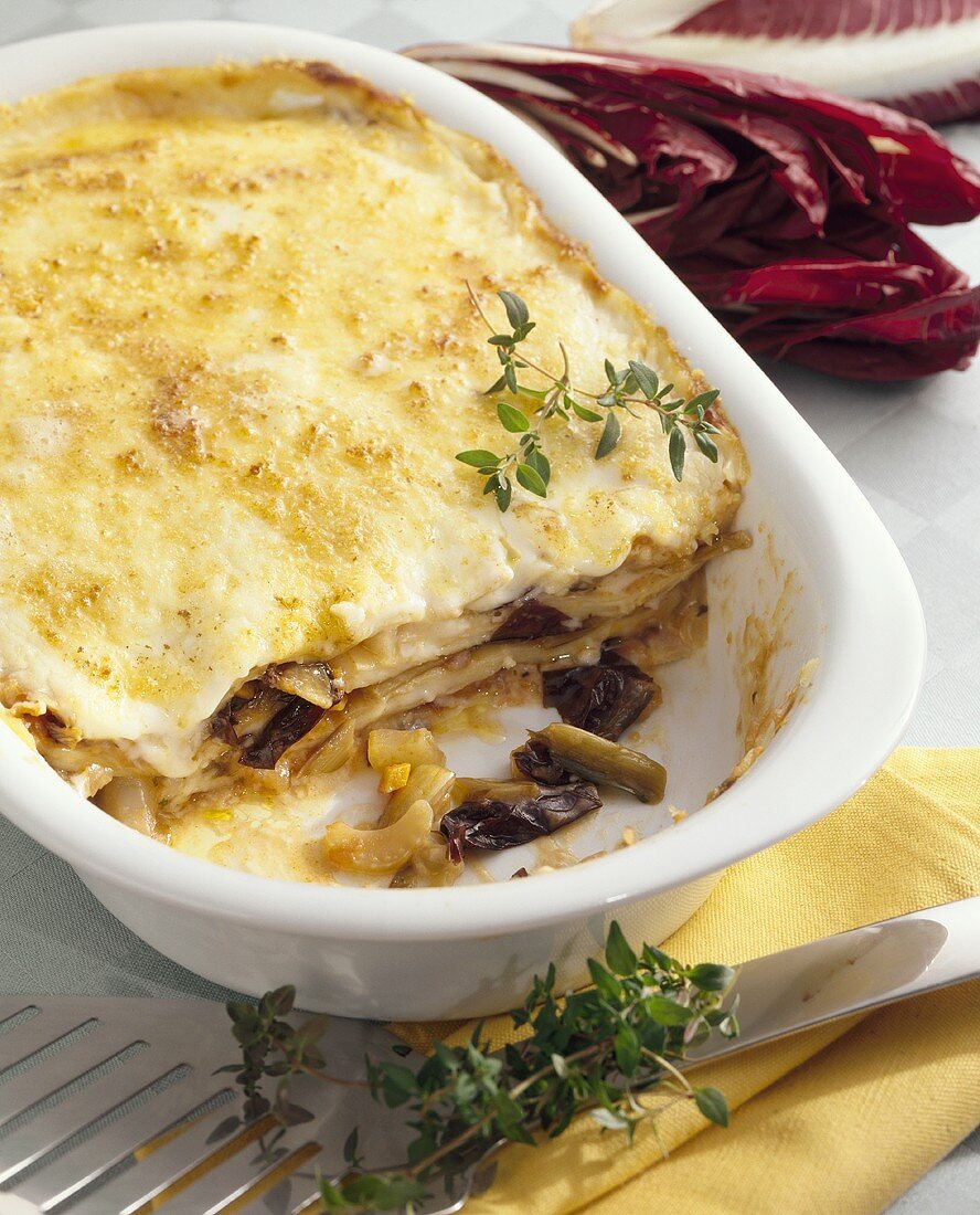 Lasagne with radicchio and Taleggio