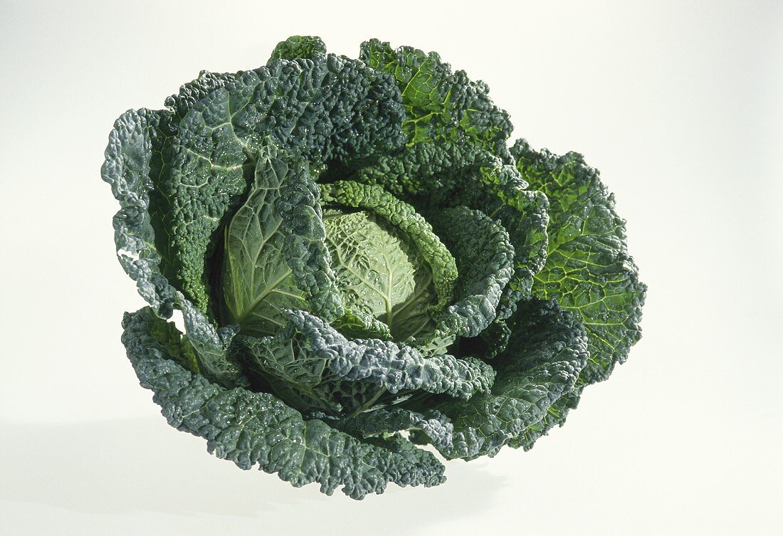 A savoy cabbage against a white background