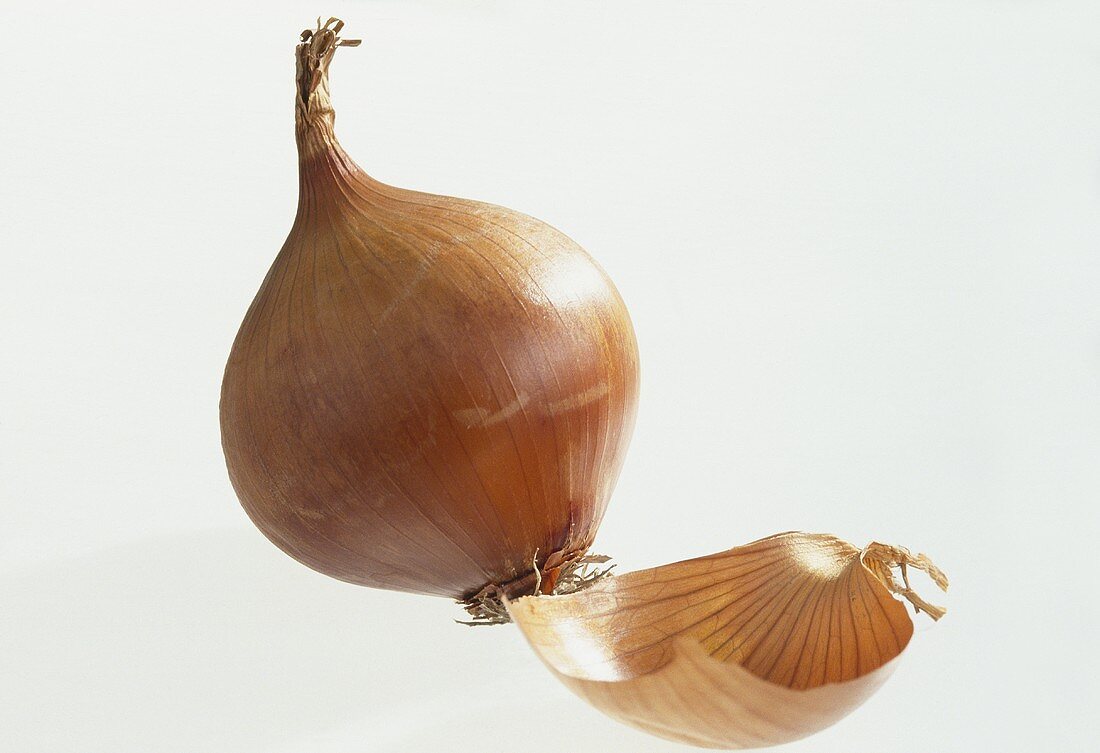 A brown onion against a white background
