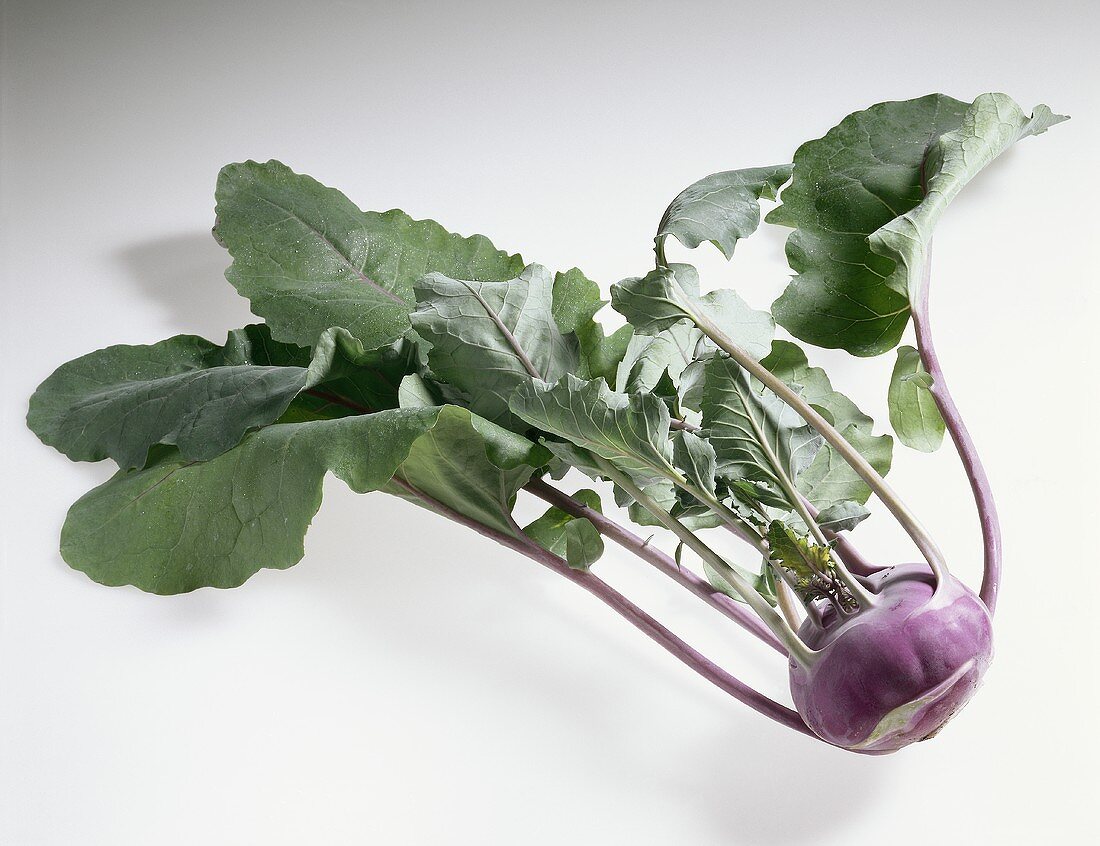 One Red Kohlrabi