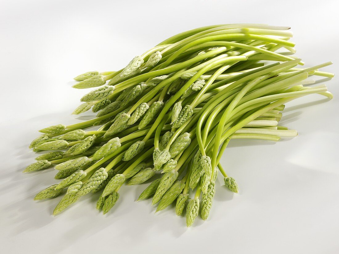 Wild asparagus on white background