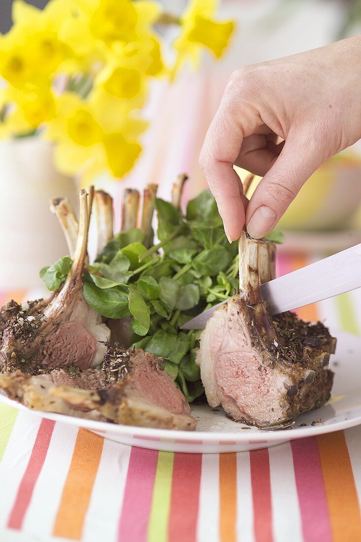 Carving rack of lamb