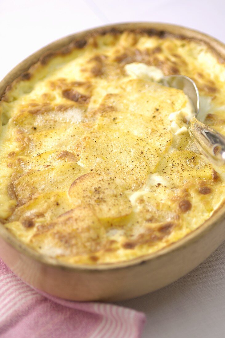 Kartoffelgratin