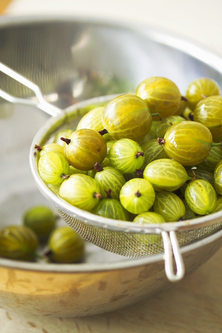 Fresh gooseberries in a sieve