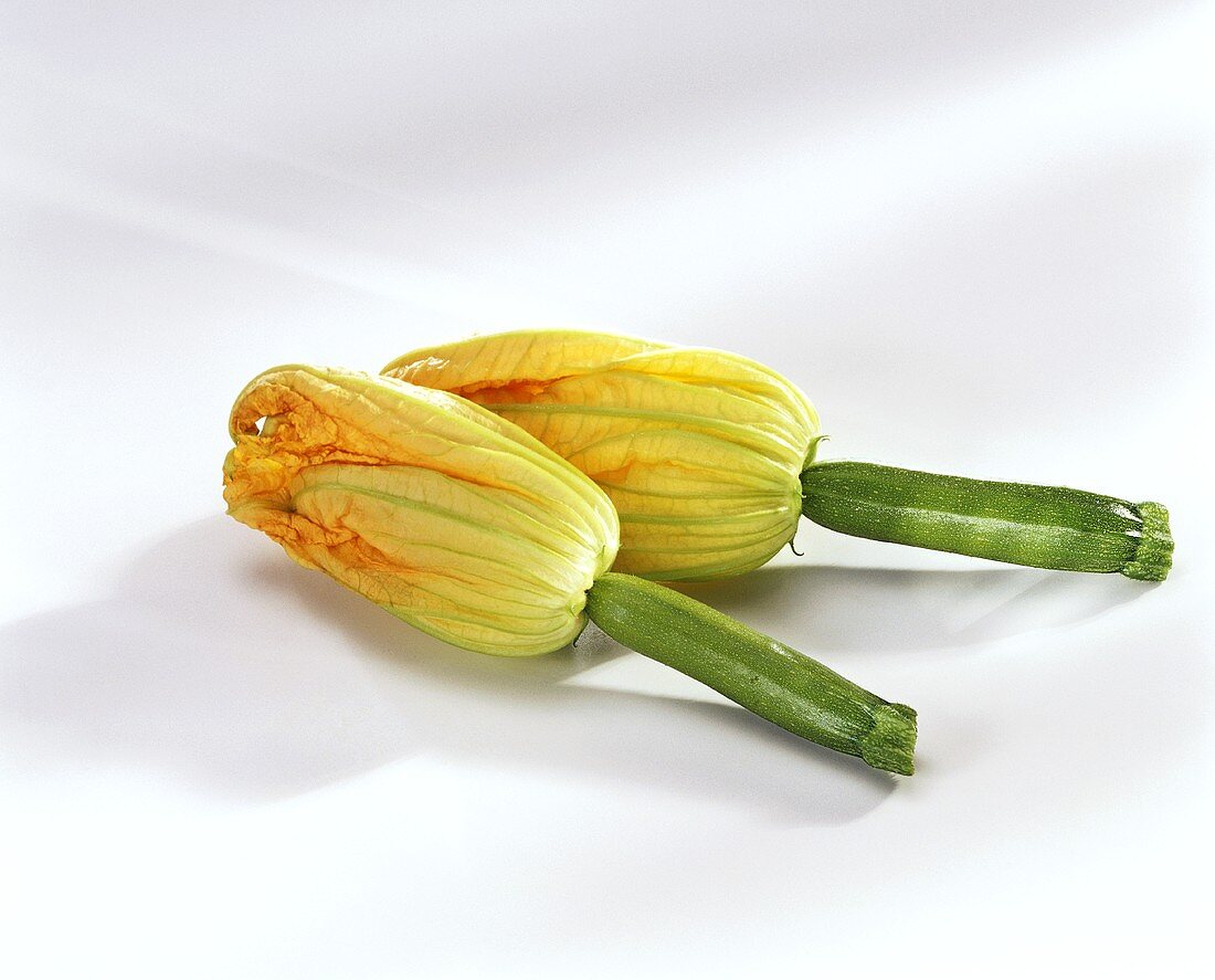 Two courgette flowers