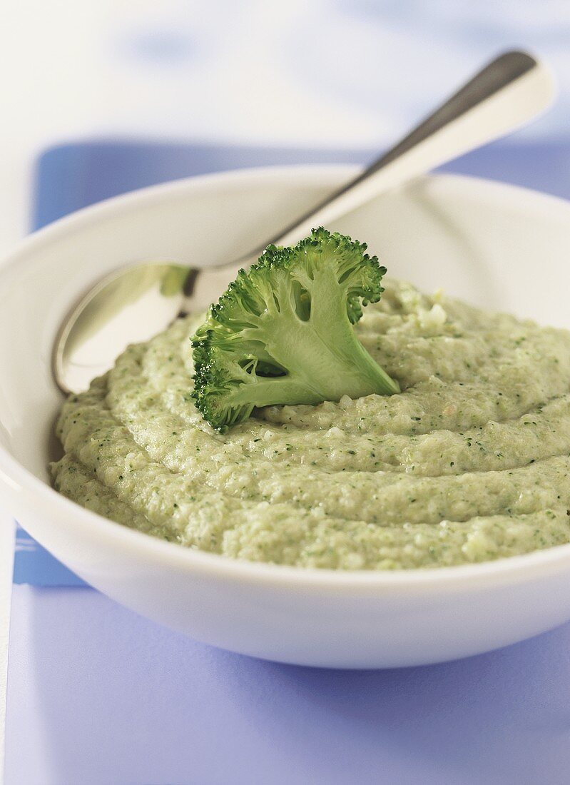 Turkey and rice puree with broccoli