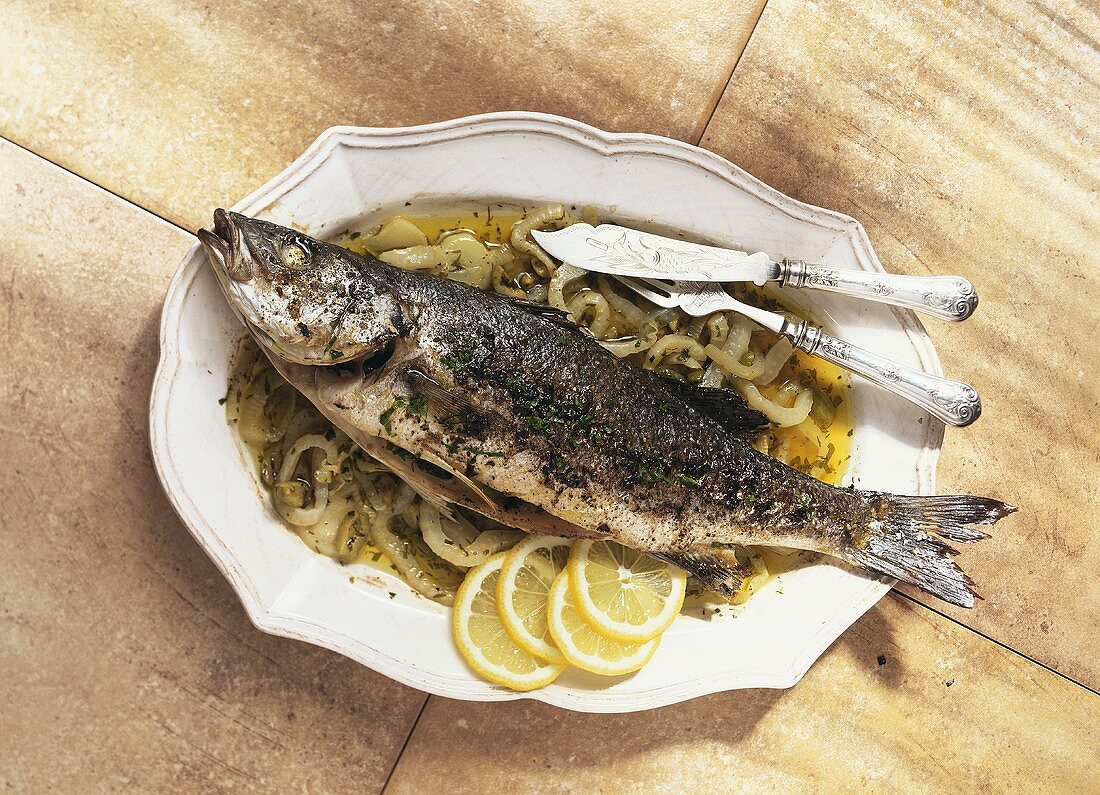 Sea bass with fennel