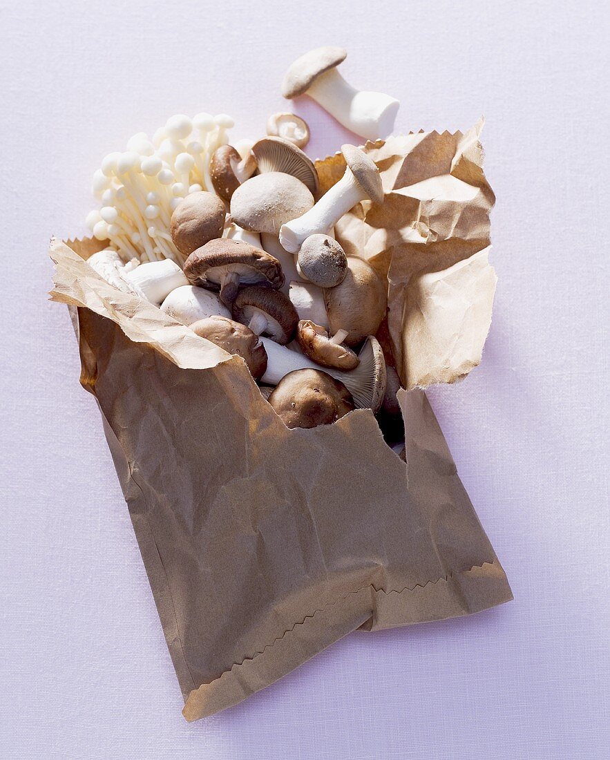 Mushrooms falling out of a paper bag