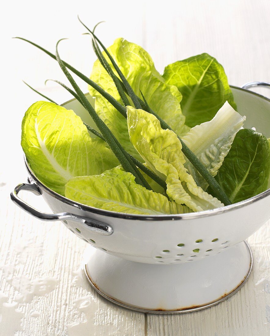 Grüner Salat und Schnittlauch in einem Salatsieb