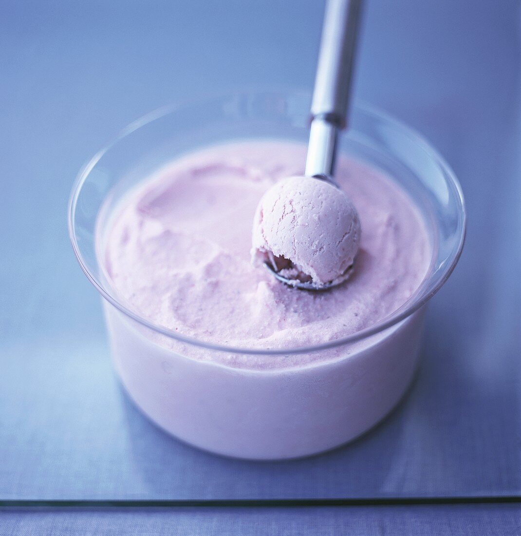 Blueberry ice cream in a dish