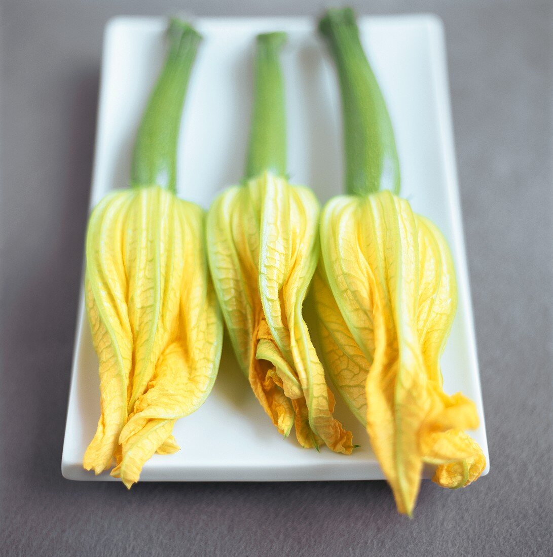 Drei Zucchiniblüten auf einer Platte