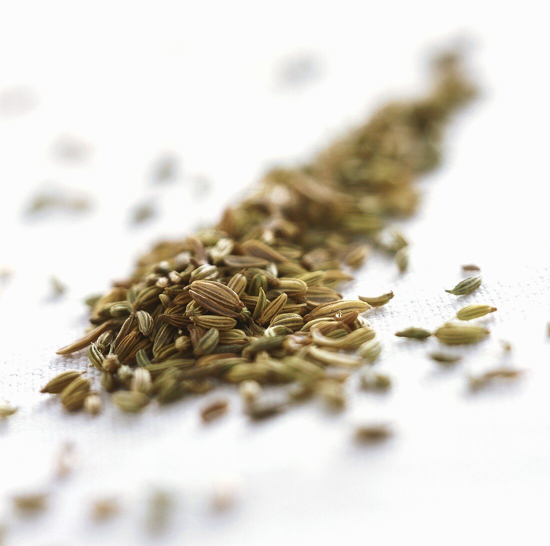 Fennel seed