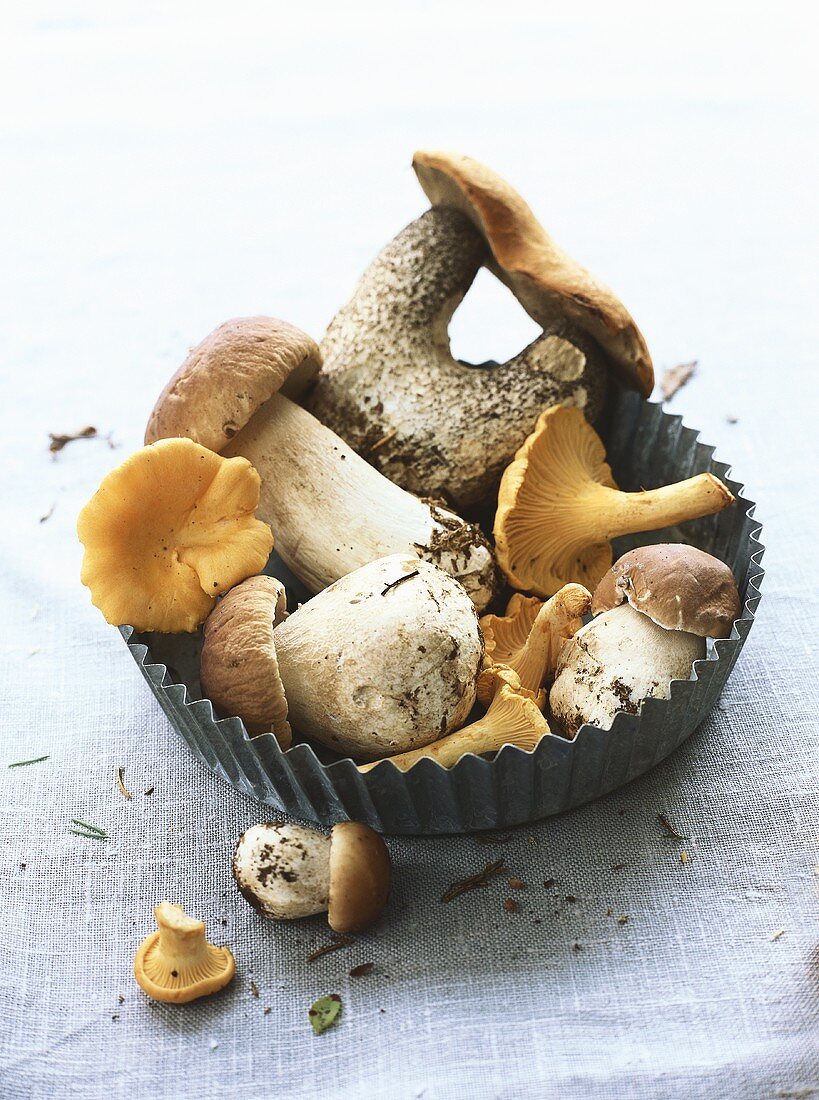 Assorted mushrooms in a baking tin
