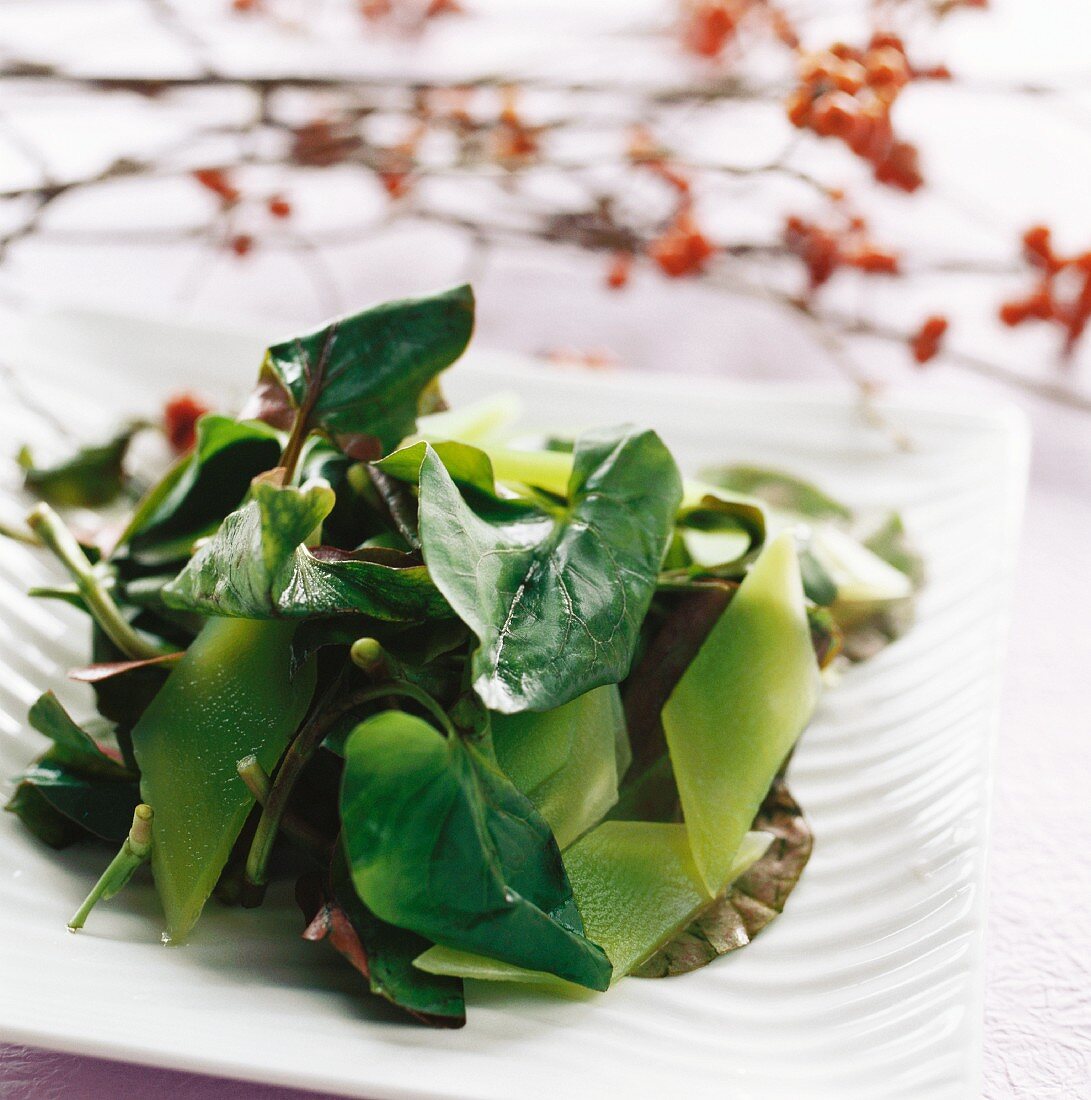 Spargelsalat mit Vap ca